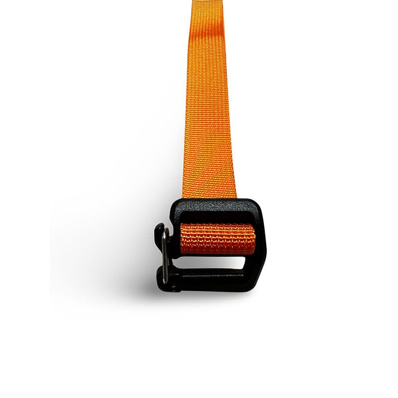 #color_orange