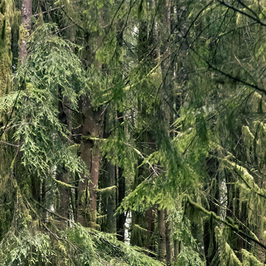 RUX Origins inspiration behind the ultimate gear storage system